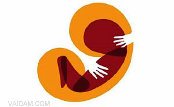 International Fertility Center, New Delhi , New Delhi